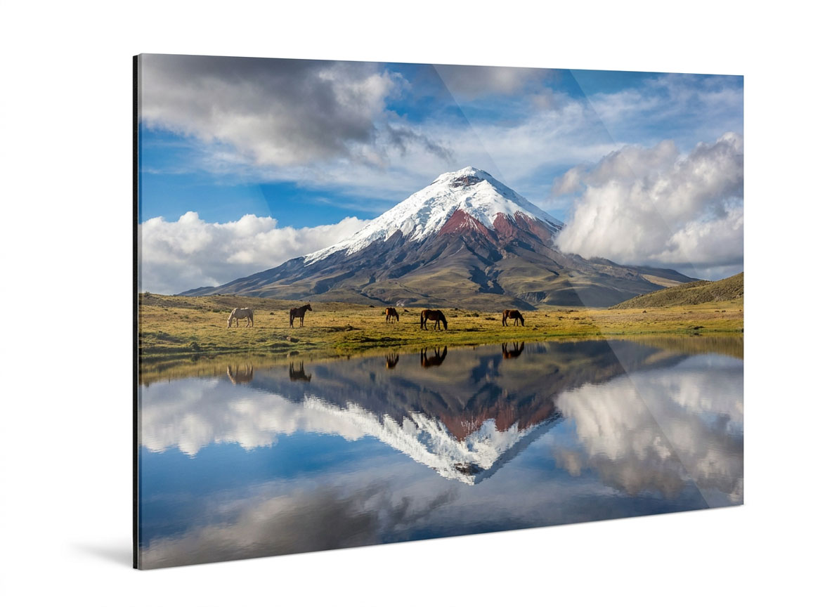 Fotografía con acrílico